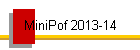 MiniPof 2012-13
