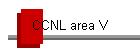 CCNL area V